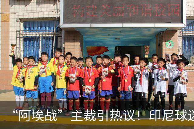 “阿埃战”主裁引热议！印尼球迷吐槽：曾因禁区外犯规判点球
