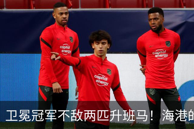卫冕冠军不敌两匹升班马！海港的失利引发的深思