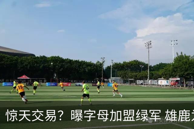 惊天交易？曝字母加盟绿军 雄鹿为布朗寻找第三方