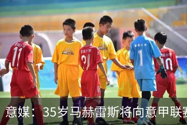 意媒：35岁马赫雷斯将向意甲联赛自荐，但意甲多队均人满为患