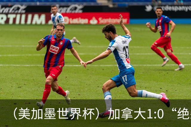 （美加墨世界杯）加拿大1:0“绝杀”南非 队史首进16强