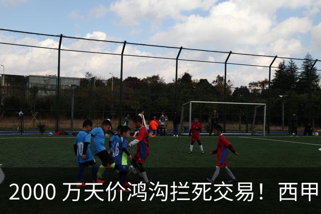2000 万天价鸿沟拦死交易！西甲豪门全力抢欧洲杯飞翼，终极翻盘悬念拉满