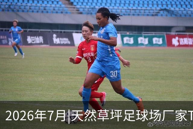 2026年7月|天然草坪足球场厂家TOP8推荐